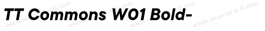 TT Commons W01 Bold字体转换